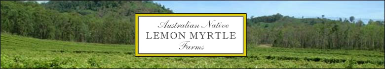 Australian Native Lemon Myrtle [header graphic]